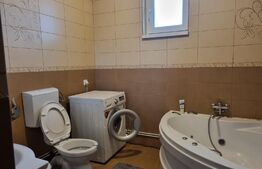 Casa individuala, 300 mp, cu hala auto, 156 mp, parcări, zona Între lacuri