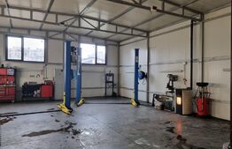 Casa individuala, 300 mp, cu hala auto, 156 mp, parcări, zona Între lacuri