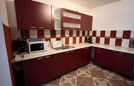 Casa individuala, 300 mp, cu hala auto, 156 mp, parcări, zona Între lacuri