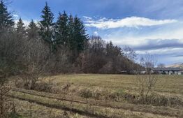 Teren extravilan 6200 mp, zona Gilau