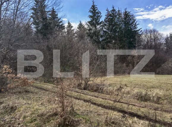 Teren de vânzare Gilău - 111563TV | BLITZ Cluj-Napoca | Poza4