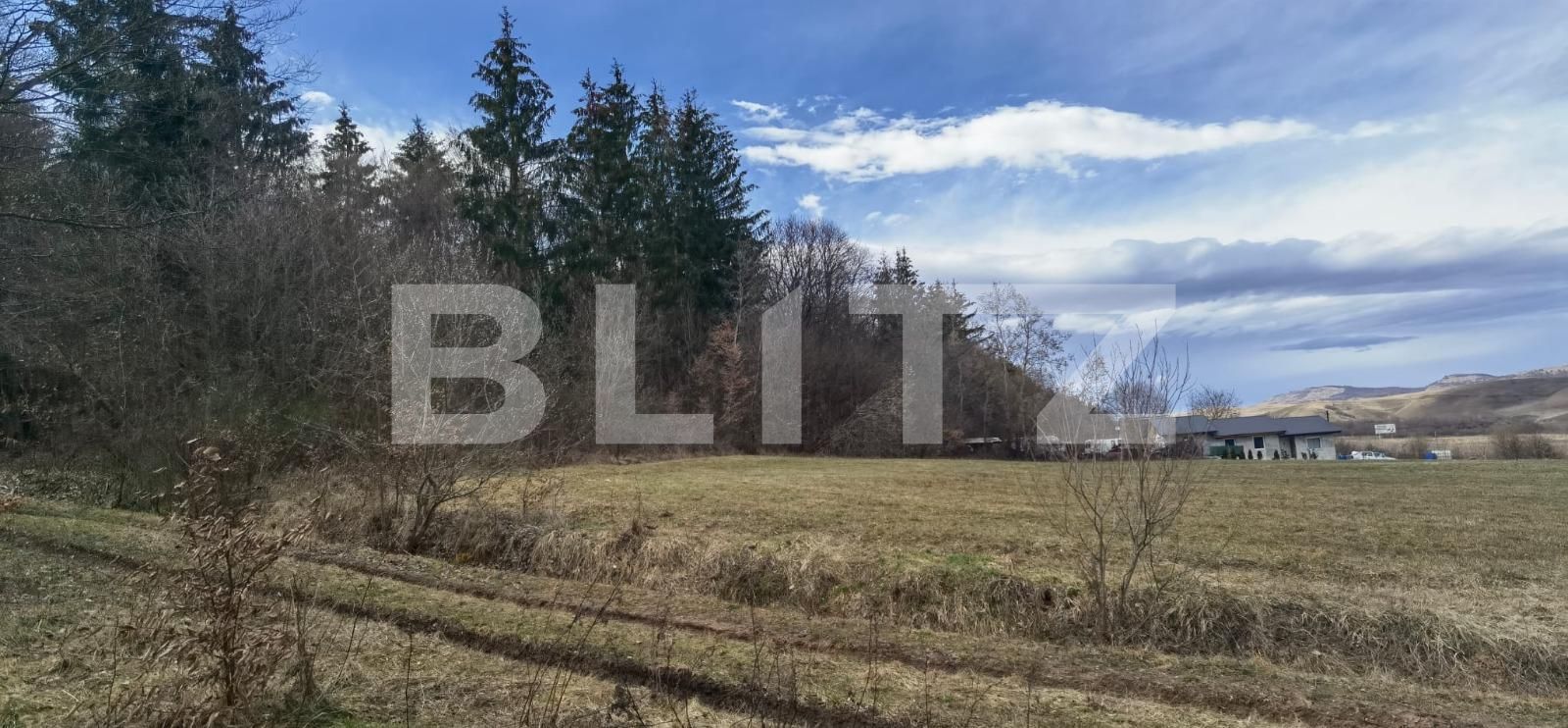 Teren de vânzare Gilău - 111563TV | BLITZ Cluj-Napoca | Poza2