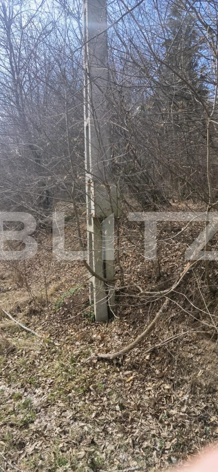 Teren de vânzare Gilău - 111563TV | BLITZ Cluj-Napoca | Poza3