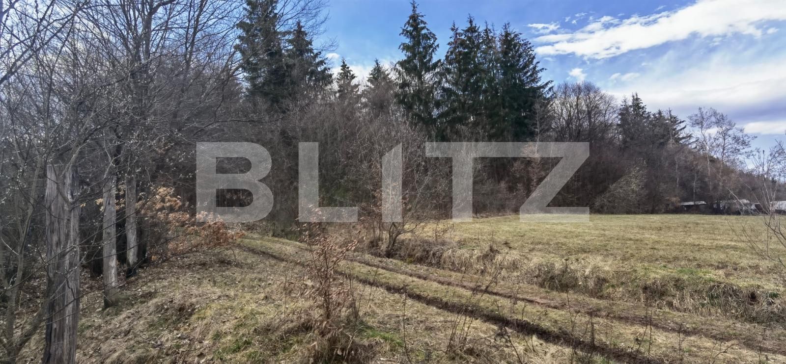 Teren de vânzare Gilău - 111563TV | BLITZ Cluj-Napoca | Poza4