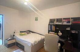 Apartament 2 camere, 50 mp, parcare, zona strazii Petuniei