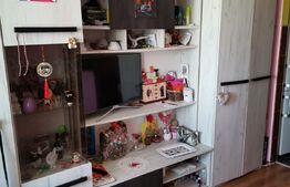 Garsoniera ingrijita, 22 mp, semidecomandata, zona Uzina 2