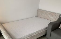Apartament cu o camera, 40 mp, Marasti 