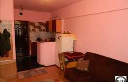 Apartament de vanzare, 1 camera, etaj intermediar, zona strazii Cernei!