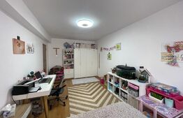 Apartament de vanzare 2 camere, 58 mp, mobilat si utilat, strada Somesului 