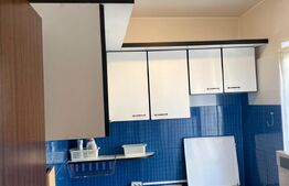 Garsoniera impecabila, mobilat modern, zona UMF, Pet friendly