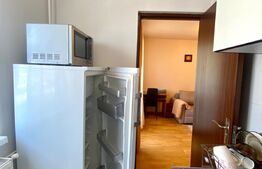Garsoniera impecabila, mobilat modern, zona UMF, Pet friendly