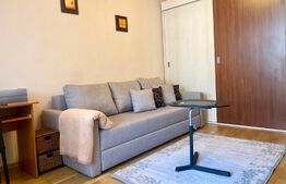 Garsoniera impecabila, mobilat modern, zona UMF, Pet friendly