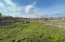 Casa saseasca si trainica, 145mp utili, 2434 mp teren intravilan Feldioara - zona centrala