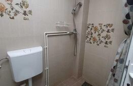 Ideal investiție! Garsonieră cu preluare de chiriaș, etaj intermediar, zona The Office, Mărăști