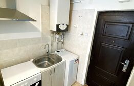 Garsoniera cocheta 20 mp, recent renovata, Zona Bulevardul Muncii