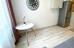 Garsoniera cocheta 20 mp, recent renovata, Zona Bulevardul Muncii