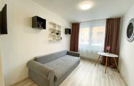 Garsoniera cocheta 20 mp, recent renovata, Zona Bulevardul Muncii