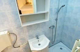 Garsoniera cocheta 20 mp, recent renovata, Zona Bulevardul Muncii