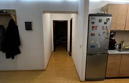 Apartament 2 camere, 57 mp, mobilat utilat, parcare, zona Teilor!