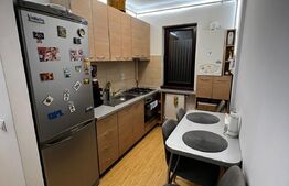 Apartament 2 camere, 57 mp, mobilat utilat, parcare, zona Teilor!