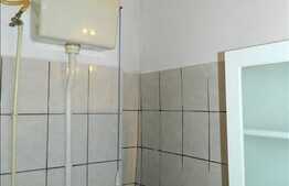 Vanzare 1 camera in imobil tip casa, 26 mp si pod de 30 mp