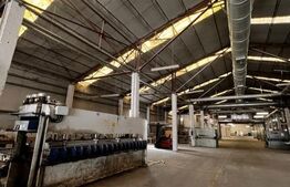 Hala cu potential pentru orice tip de activitate 