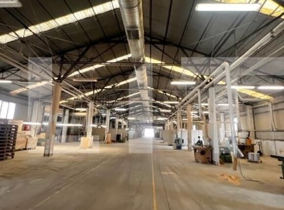 Spațiu industrial de închiriat Baciu - 112113SII | BLITZ Cluj-Napoca | Poza2