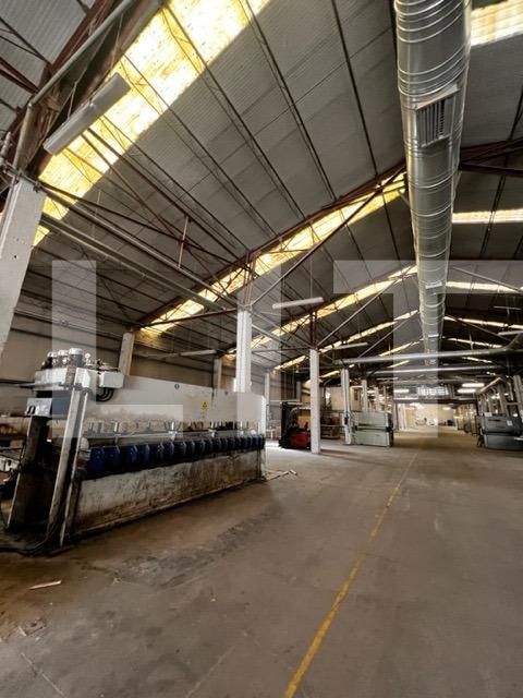 Spațiu industrial de închiriat Baciu - 112113SII | BLITZ Cluj-Napoca | Poza5