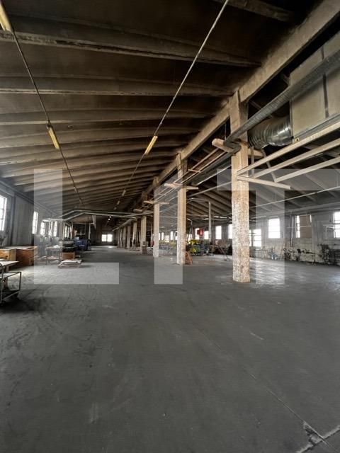 Spațiu industrial de închiriat Baciu - 112116SII | BLITZ Cluj-Napoca | Poza4