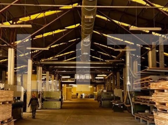 Spațiu industrial de închiriat Baciu - 112117SII | BLITZ Cluj-Napoca | Poza6