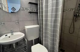 Apartament 3 camere, 45 mp, zona strazii Albac