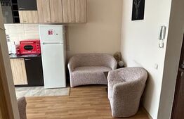 Apartament spatios, 2 camere, zona Eroilor