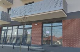Spatiu comercial, 150 mp, vitrina la 2 strazi, Borhanci
