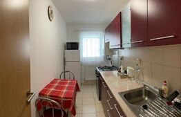 Apartament de 1 camera, zona Calea Turzii 