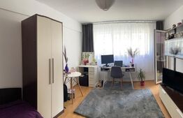 Apartament de 1 camera, zona Calea Turzii 