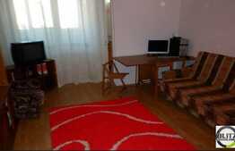 Apartament de vanzare, 1 camera, 28 mp, etaj intermediar, zona Gr. Alexandrescu!