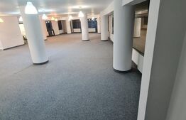 Spatii de birou 192mp-142mp, zona Strada Oasului