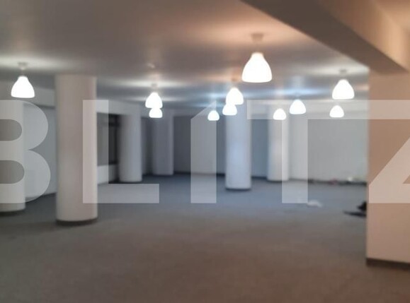 Spațiu birouri de închiriat Iris - 112340SIB | BLITZ Cluj-Napoca | Poza11