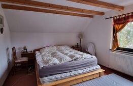  Casa 6 camere 296 mp si teren 800 mp in zona Marisel