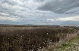 Oferta !Teren Intravilan cu autorizatie Hala 