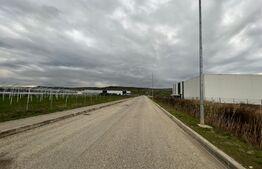 Oferta !Teren Intravilan cu autorizatie Hala 