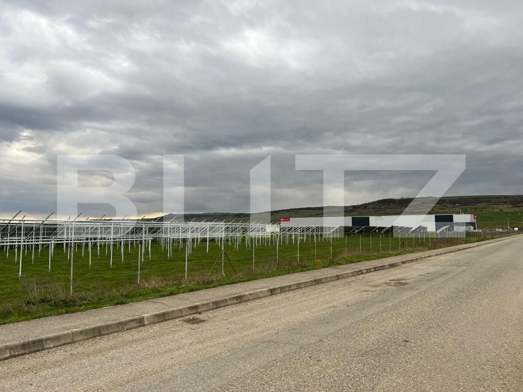 Teren de vânzare Răscruci - 112439TV | BLITZ Cluj-Napoca | Poza3