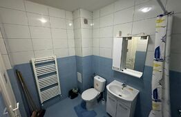 Apartament 2 camere, parter, zona Porii!