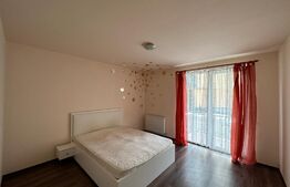 Apartament 2 camere, parter, zona Porii!