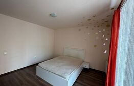 Apartament 2 camere, parter, zona Porii!