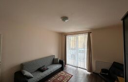 Apartament 2 camere, parter, zona Porii!