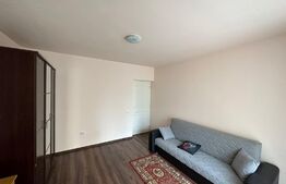 Apartament 2 camere, parter, zona Porii!