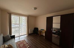 Apartament 2 camere, parter, zona Porii!