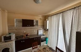 Apartament 2 camere, parter, zona Porii!