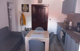 Investiție zona centrală! Apartament cu o camera la mansarda 42mp cu loc de parcare in curte, zona Centrala